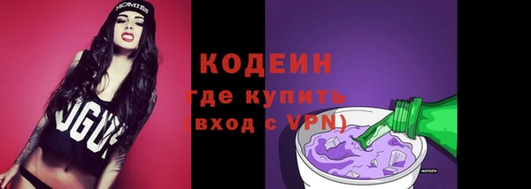 гидра Няндома