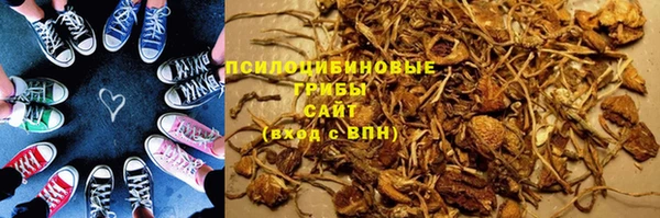 стаф Алзамай