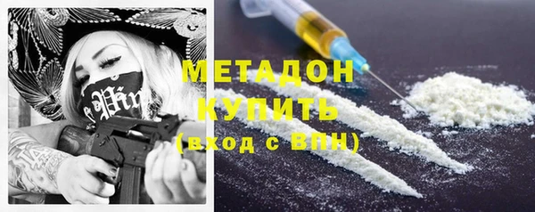 стаф Алзамай