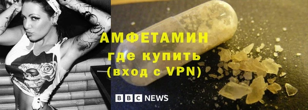 стаф Алзамай