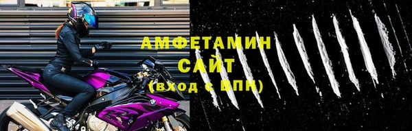 стаф Алзамай