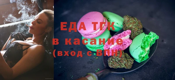 стаф Алзамай